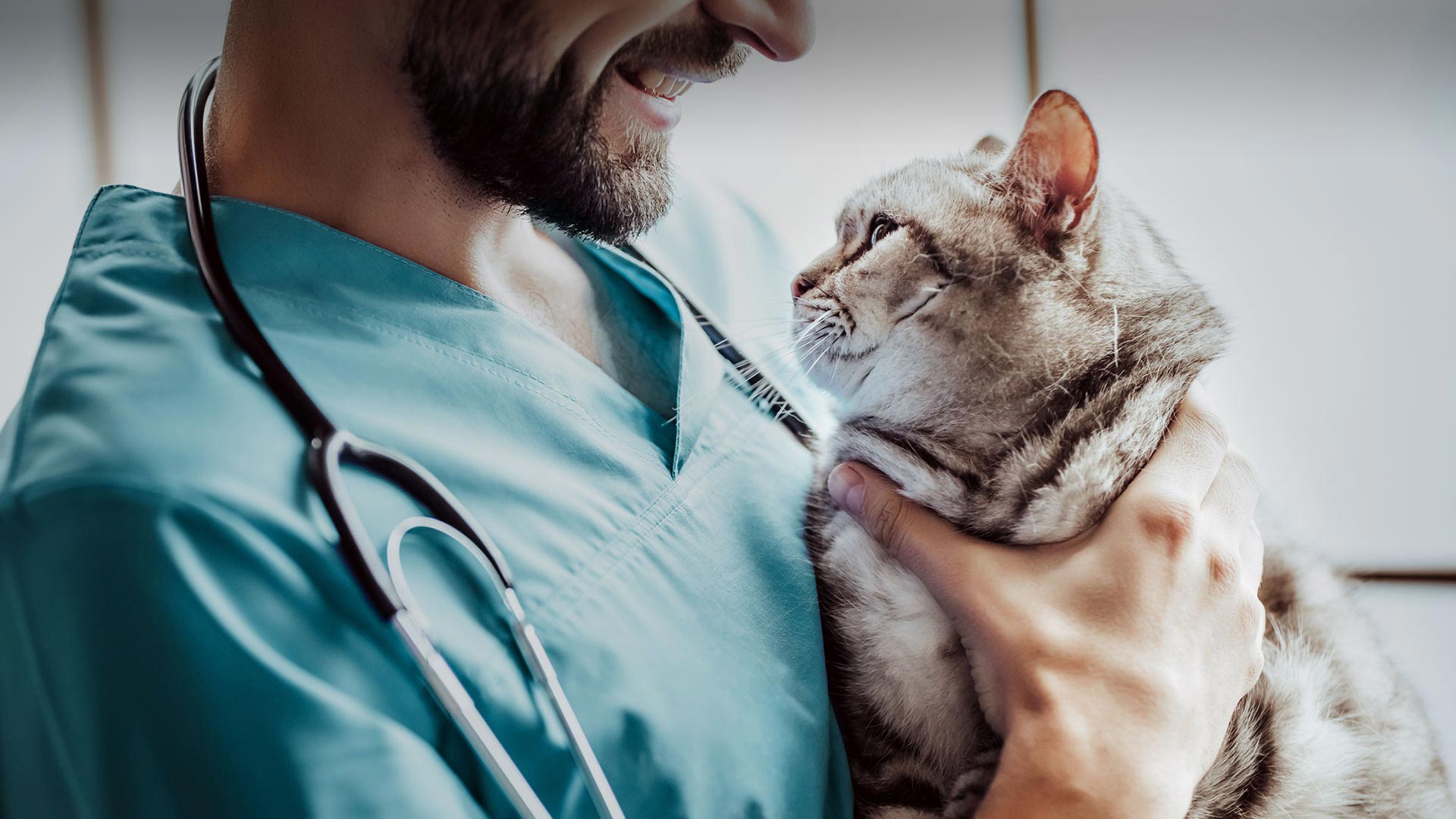 Çakmaklı Veteriner